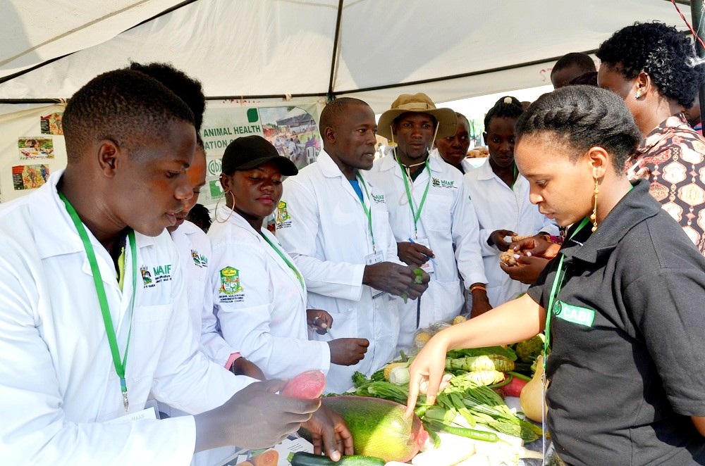 CABI beneficiiaries showcasing a plant clinic at the just concluded 29th National agricultural show in Jinja. Photo by Jackie Nambogga