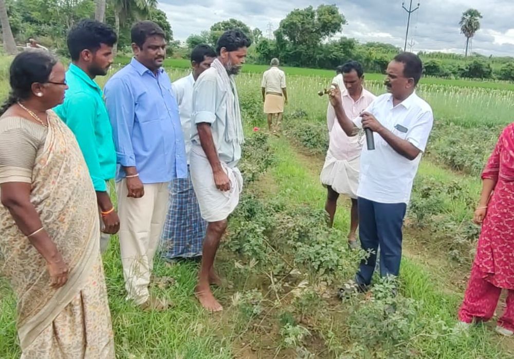 M. Bhaskaraiah providing advice to farmers in Tirupati District, India