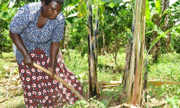 A woman farmer in Uganda