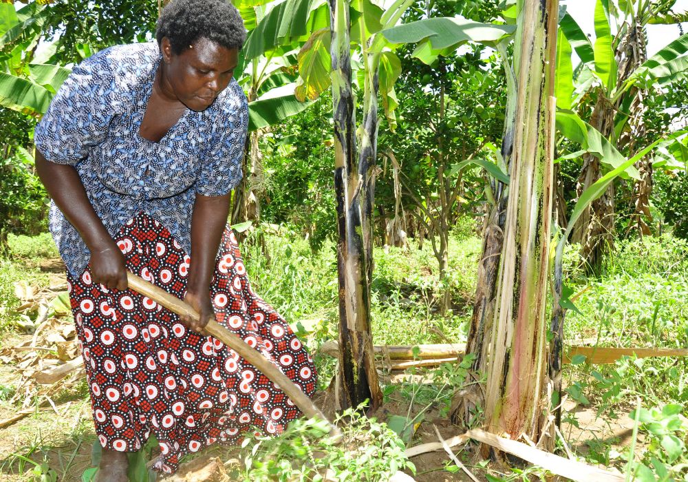 A woman farmer in Uganda