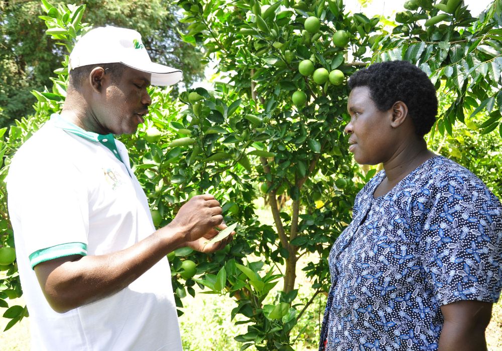 A woman farmer getting advice at a plant clinic