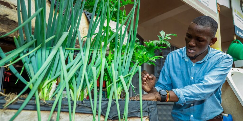 Anthony Ssenyonga working at his agro input shop