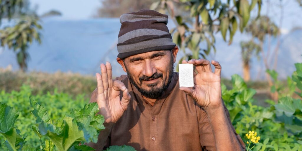 A farmer in Pakistan shows a trichogramma card