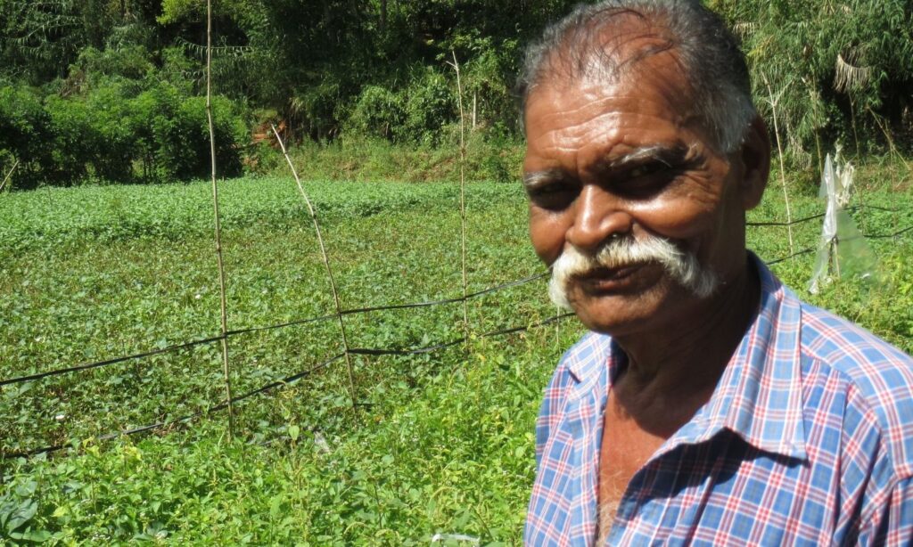 A farmer in Sri Lanka in his field