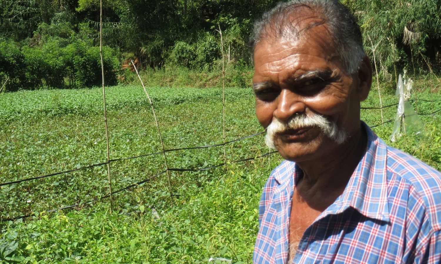 A farmer in Sri Lanka in his field