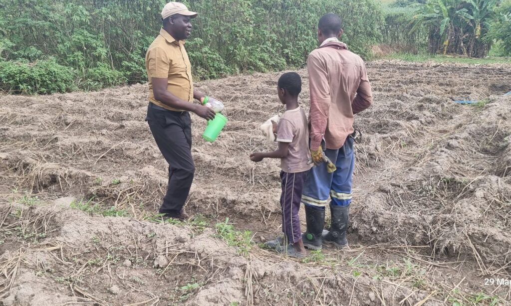 Ignitious discusses pest management options with a farmer.