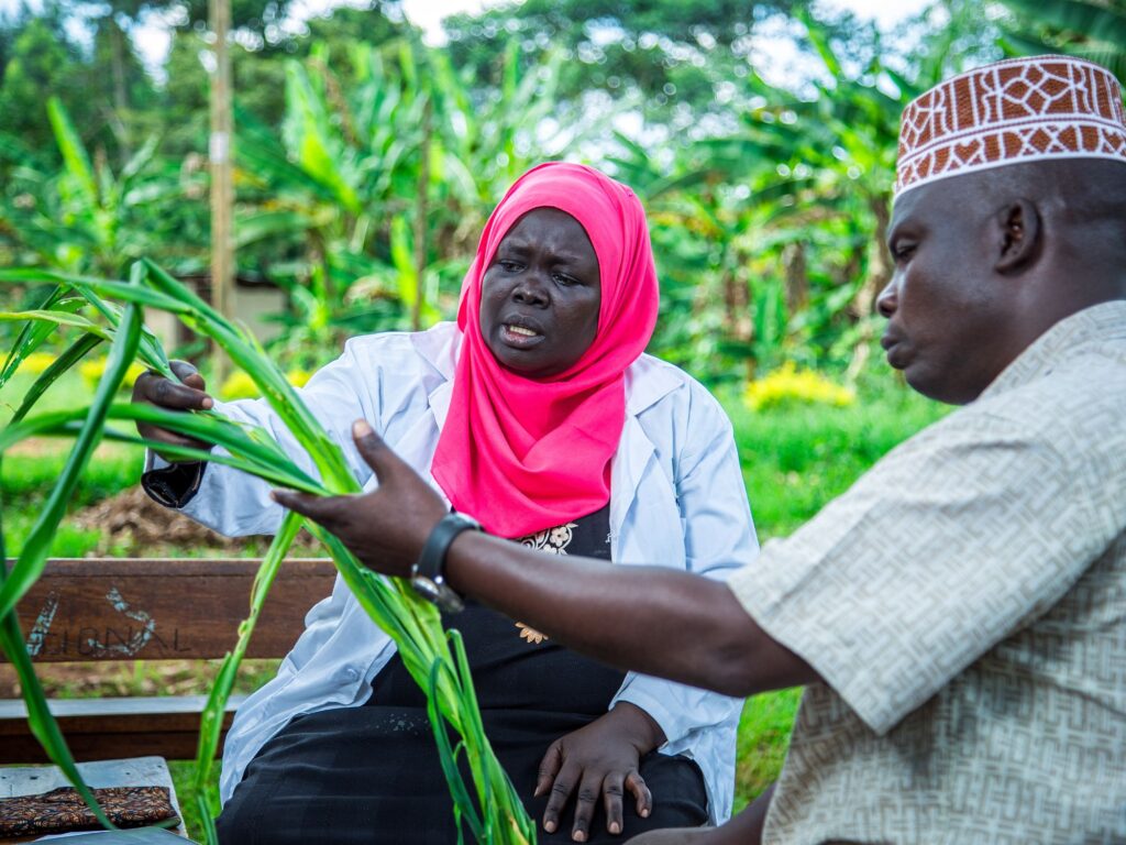 Advisory providing advice to a farmer in Uganda