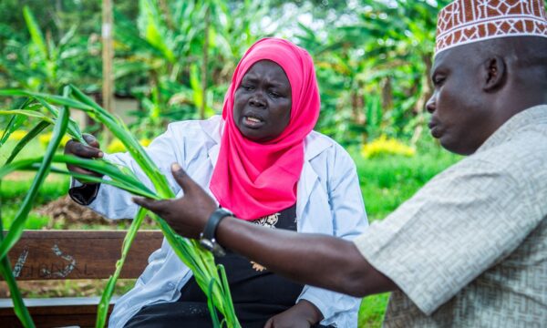 Advisory providing advice to a farmer in Uganda