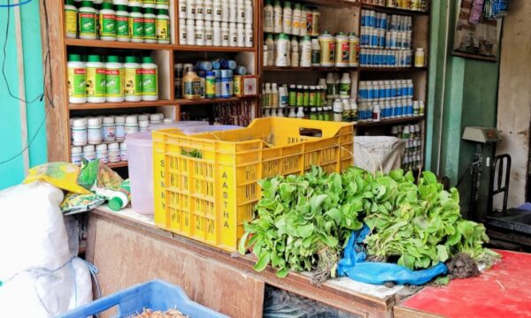 Agro-input dealer shop in Nepal