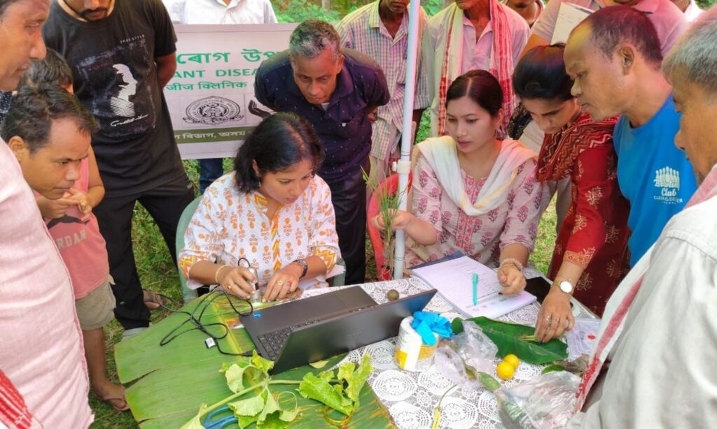 Plant clinic in Assam