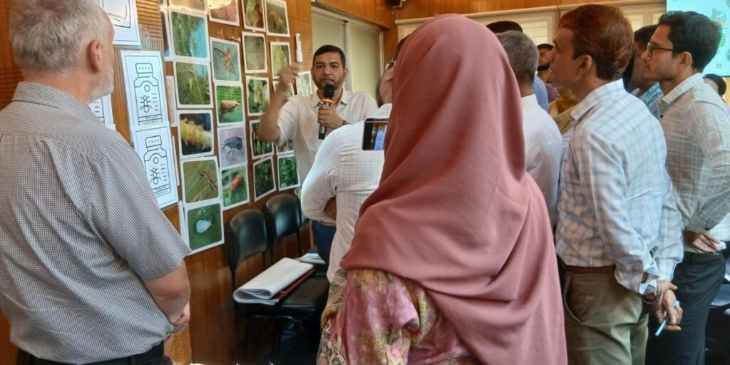 Agro-input dealer training in Bangladesh