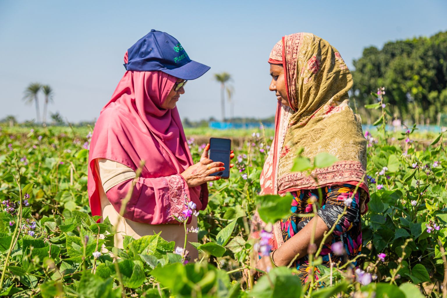 A female plant doctor showing a woman farmer an app on her mobile phone