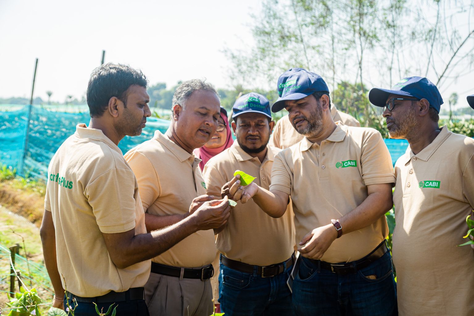 Plant doctor participants examining a crop problem