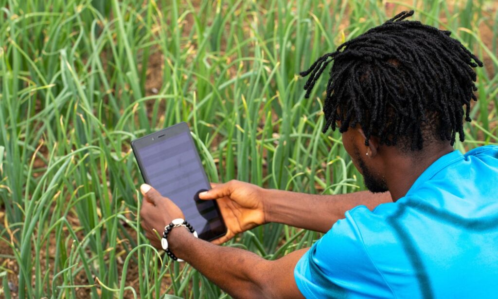 A farmer takes a photograph of a crop in his field