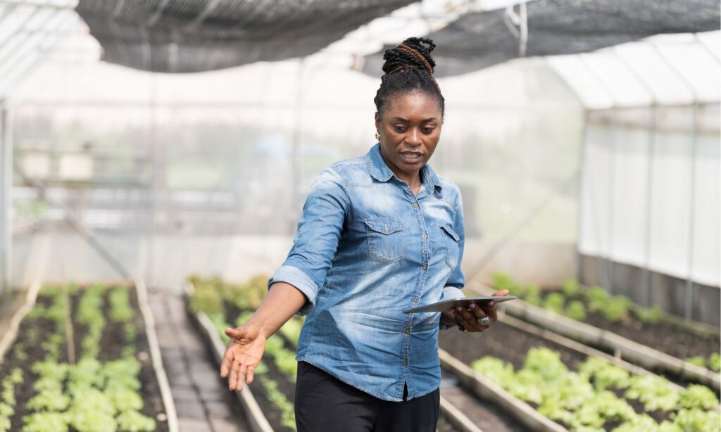 A female farmer using a digital device while looking at her crops