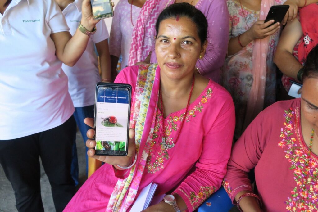 A woman farmer using the PlantwisePlus Factsheets app