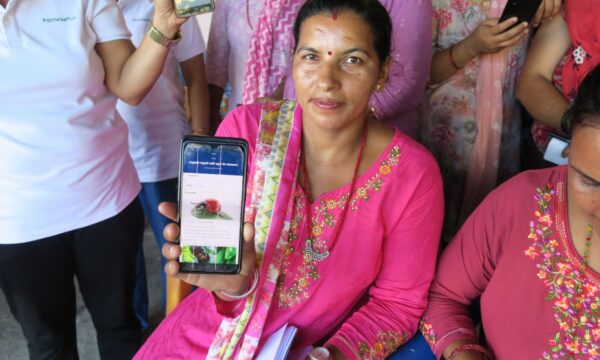 A woman farmer using the PlantwisePlus Factsheets app