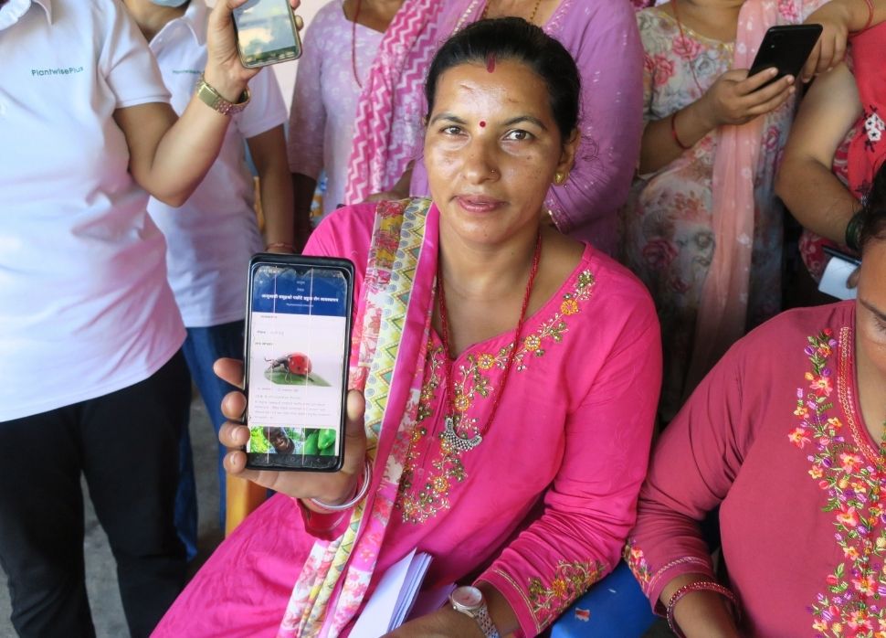 A digital skills training participants using the PlantwisePlus Factsheets app.