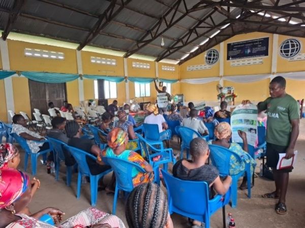 Facilitators showing visuals of pests to farmers during an engagement session at Blave in Hohoe Municipality, Ghana