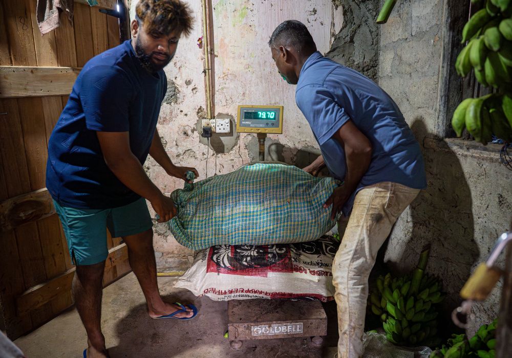 Farmers weigh their produce ready to sell