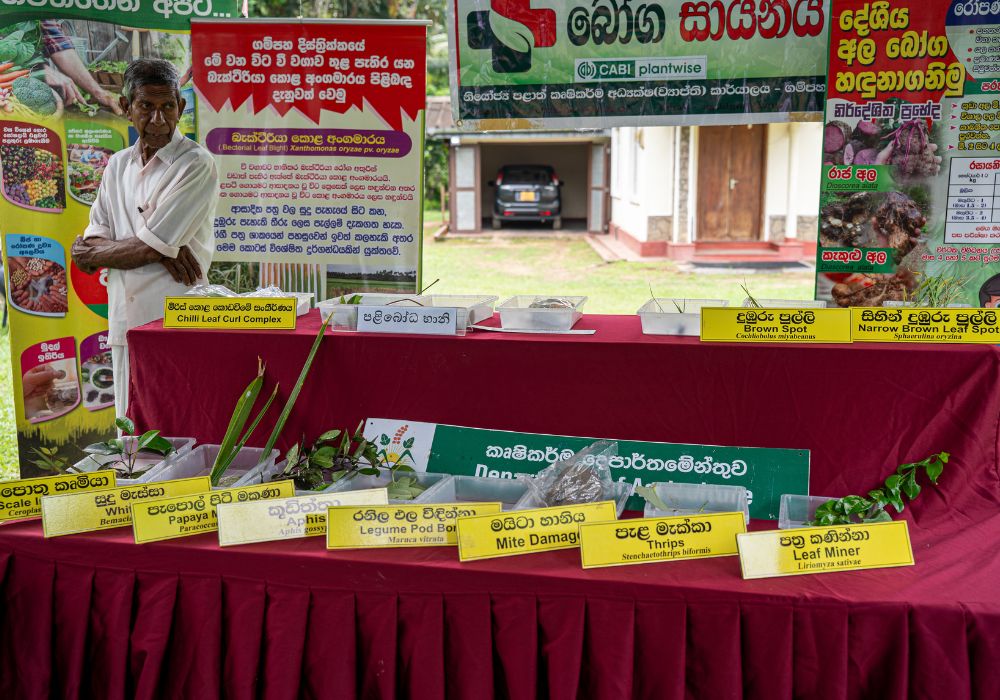 A plant clinic stand with crop specimens