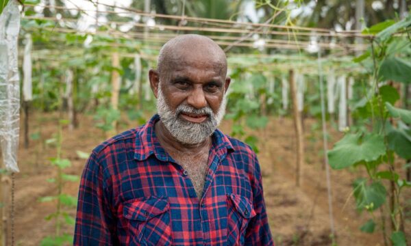 A gourd farmers stand among his crops