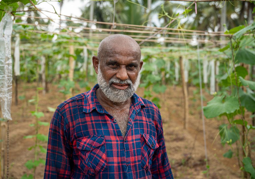 A gourd farmers stand among his crops