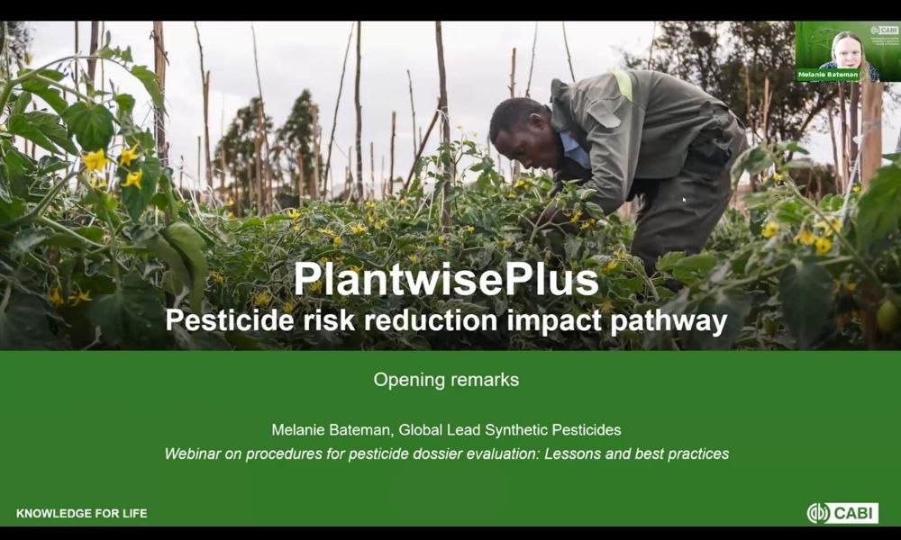 A PPT presentation title slide with the title Pesticide risk reduction impact pathway