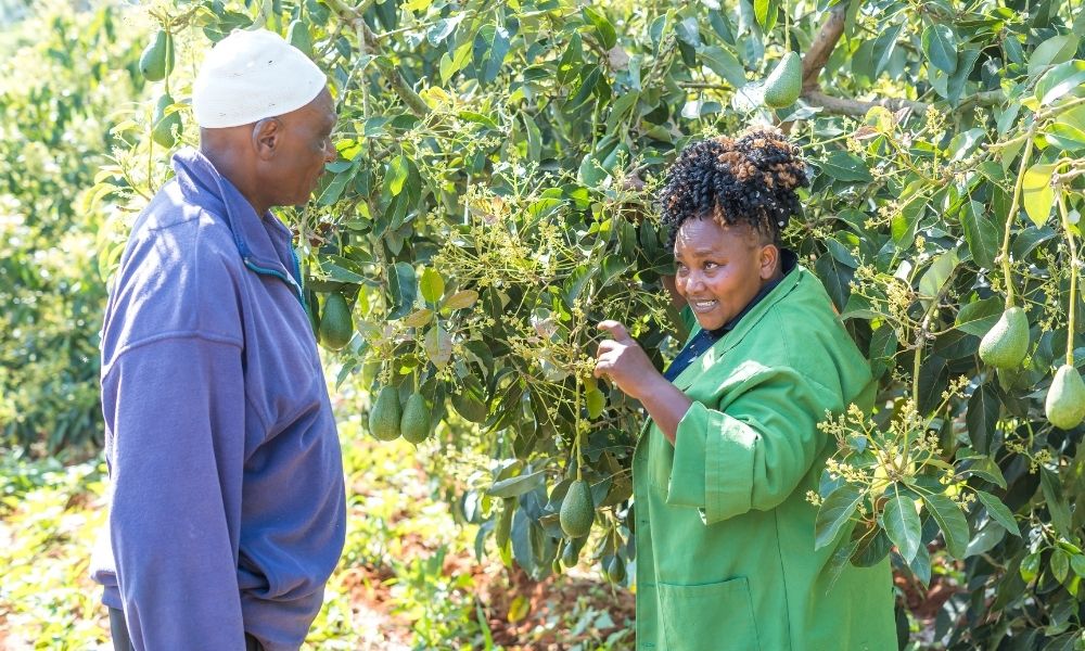 Trainee, Zipporah talking to a farmer