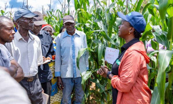 Farmers attending a training day on different control options for fall armyworm in Zambia