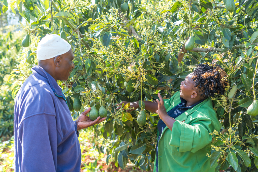 An agricultural service provider advising a farmer in his field.