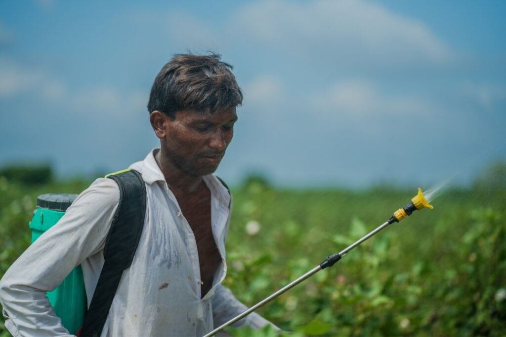 A man using a backpack sprayer to apply a plant protection product to crops.