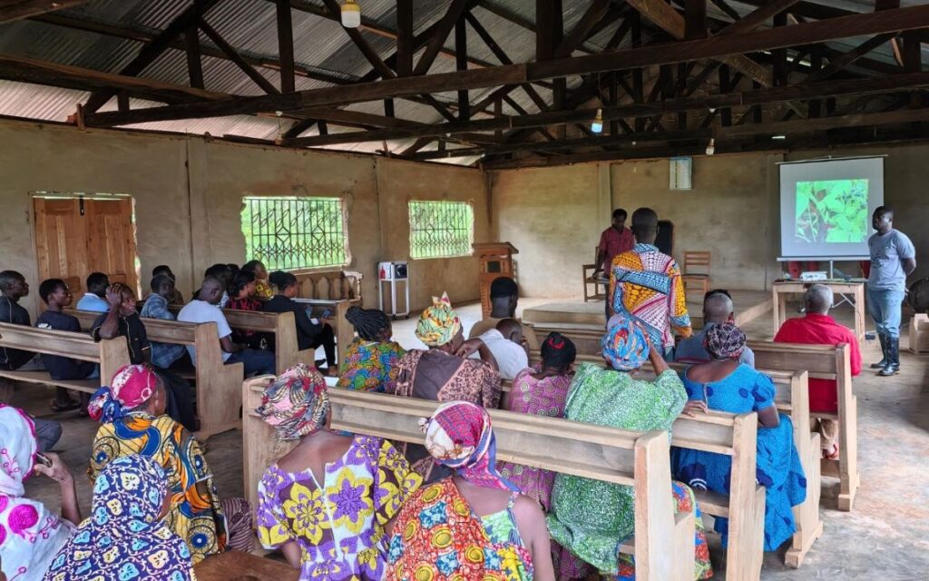 Participants at a pesticide safety event in Ghana watching a video