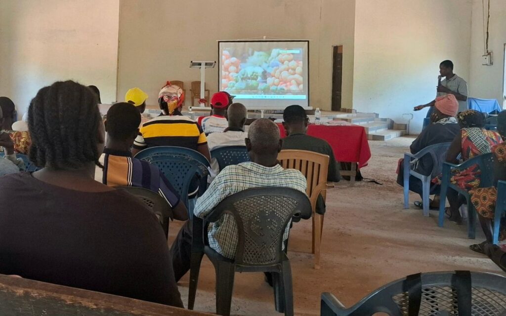 People watching a video in a community hall in Ghana